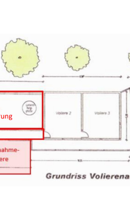Dachsanierung und Anbau Erstaufnahme-Voliere