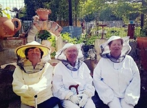 SOS der Bienen: Be happy - make a bee happy