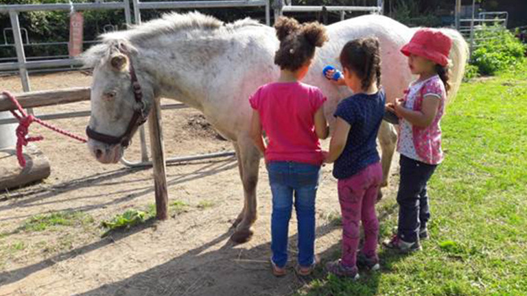 Tierisch stark! Kinder und Tiere – unser Erfolgskonzept