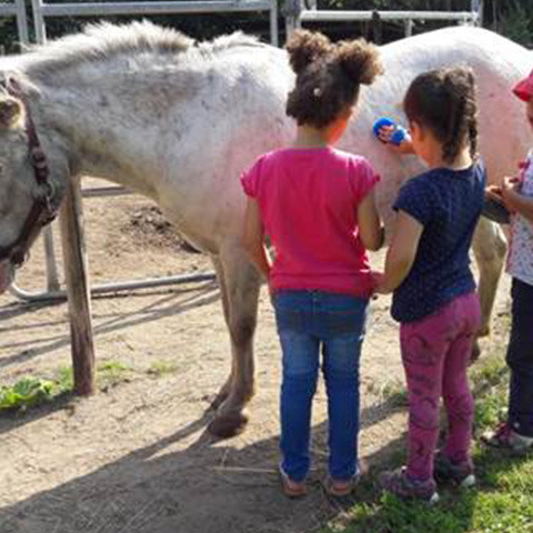 Tierisch stark! Kinder und Tiere – unser Erfolgskonzept