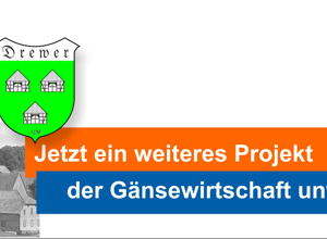 Gänseküche