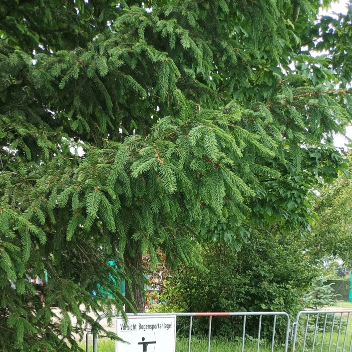 Neue Umzäunung HSV Gelände in Dreieich-Götzenhain
