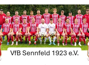 Rasenmäher für die Sportanlage des VfB Sennfeld 1923 e.V.