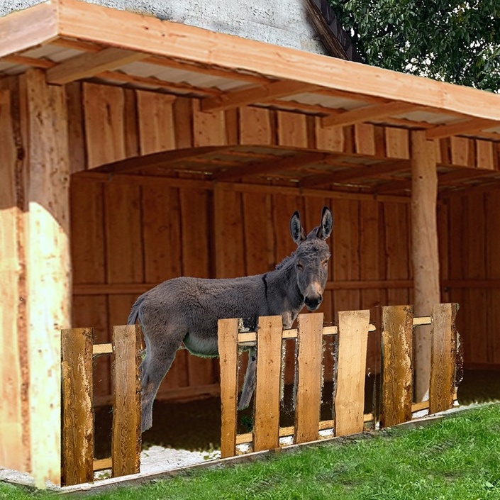 Esel-Putzplatz für Buller&Bü