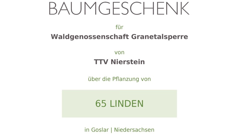Baumgeschenk 65 Linden Harz
