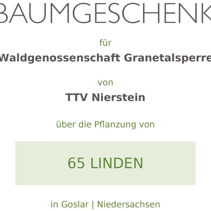Baumgeschenk 65 Linden Harz