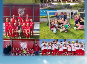 Zaunanlage für den Oldenburger Kunstrasenplatz