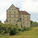 Fasnachtsmuseum Schloss Langenstein