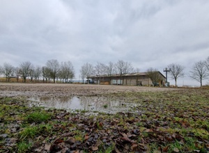 Springplatz ZRFV Einrich Katzenelnbogen e.V.