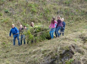 Naturpark-Mobil: Umweltbildung für Schulen u. a.