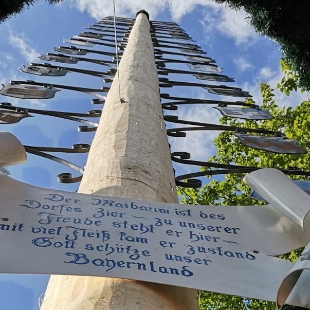 Neue Maibaumschilder Hilgertshauser Maibaum