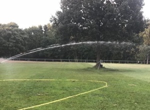 Wasser für Grün und Pferde
