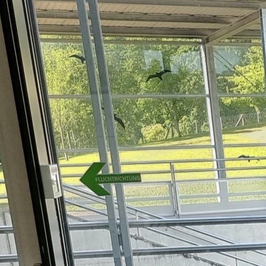 Antenne IGSTF