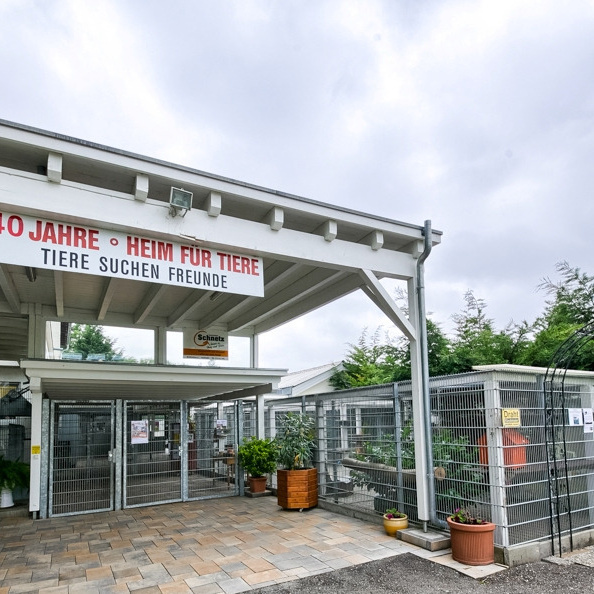 Tierheim- Katzen Außenbereich Sanierung