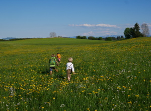 Ein Platz für die „Thingauer Wurzelkinder“