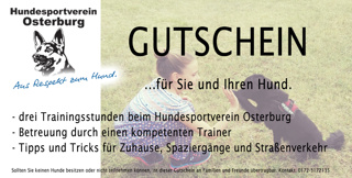 Gutschein für drei Trainingsstunden mit einem Hundetrainer