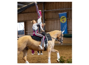 Neues Voltigierpferd für die SG Mauerbach