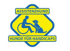 Assistenzhundeausbildung für Labrador-Rüde Fredy