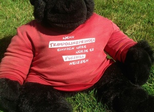 Ein neues Trampolin für die Gorillas