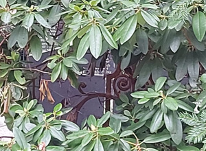 WIR ERWECKEN Geschichte aus dem Dornröschenschlaf