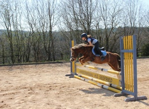 Springparcours LRFV Gesees
