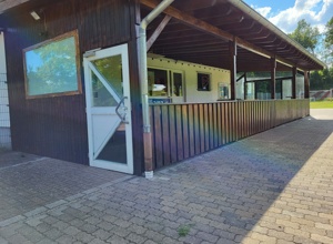 Instandsetzung Vordach