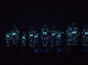 Video - Showteam TRONGYM vertritt Deutschland bei der Weltgymnaestrada
