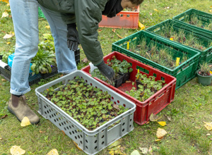 Nachhaltiges Sportfest