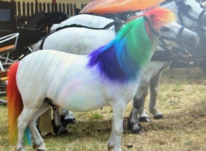 42.Ponyshow