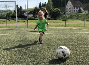 "LED statt Halogen" - eine zukunftsfähige & effiziente Flutlichtanlage