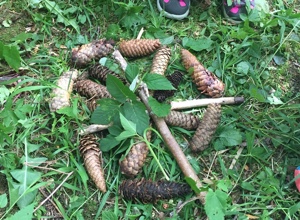 Neuer Waldkindergarten Lenggries | Ausstattung