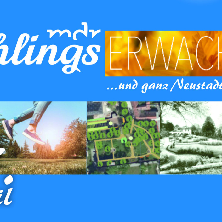 Frühlingserwachen in Neustadt (Orla)