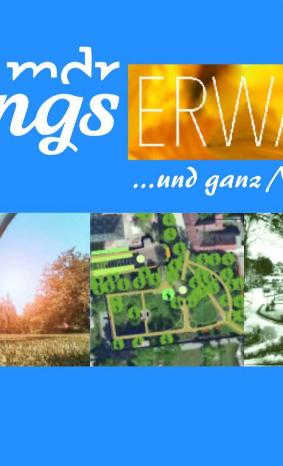 Frühlingserwachen in Neustadt (Orla)