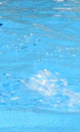 Projekt Seepferdchen - Grundschulschwimmen mit dem SSV Herford