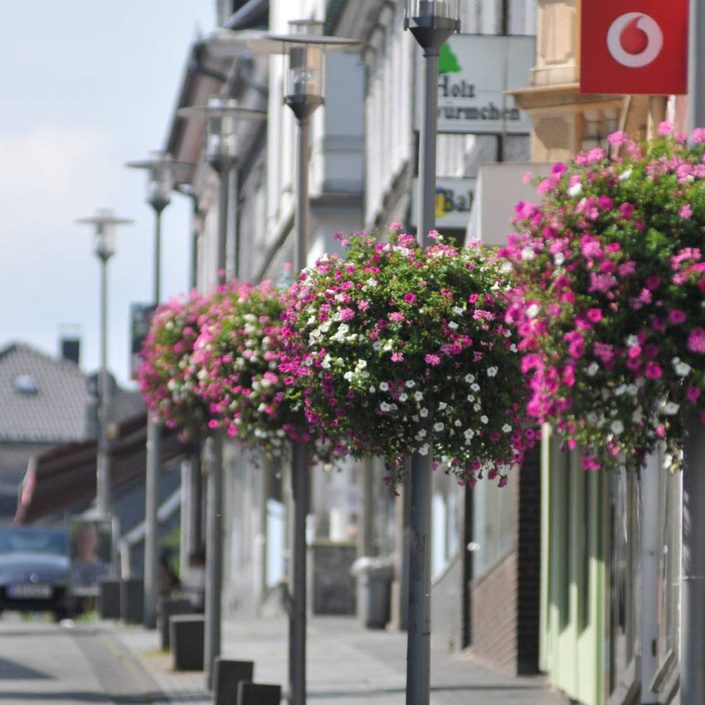 Coesfeld blüht auf