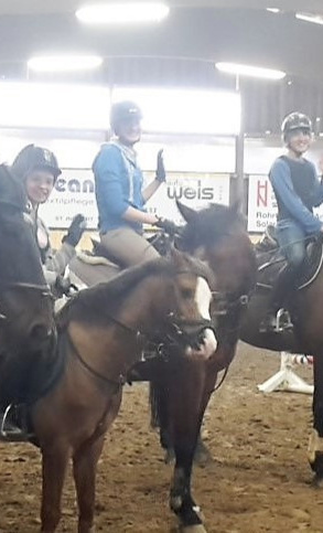 Neuer Reithallenboden - für Reiter & Pferd