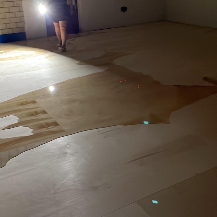 Wasserschäden am Hallenboden beheben