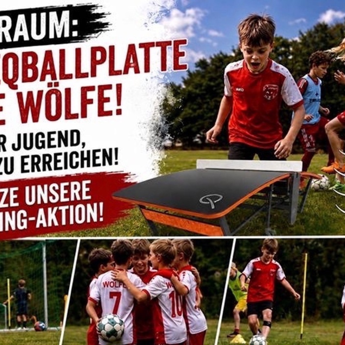 Teqballplatte für die Friedrichshagener Wölfe