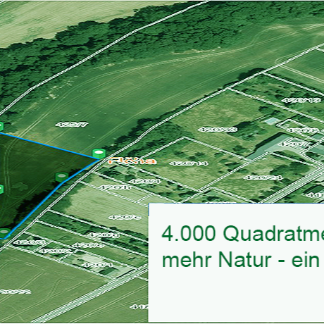 PulsschlagErde