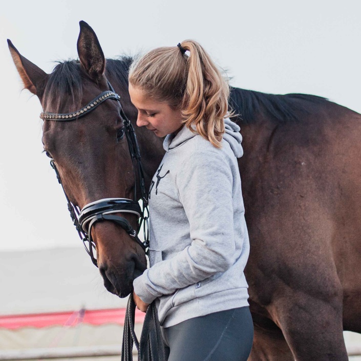 Voltigierpferd für die Lister Ponyschule e.V.