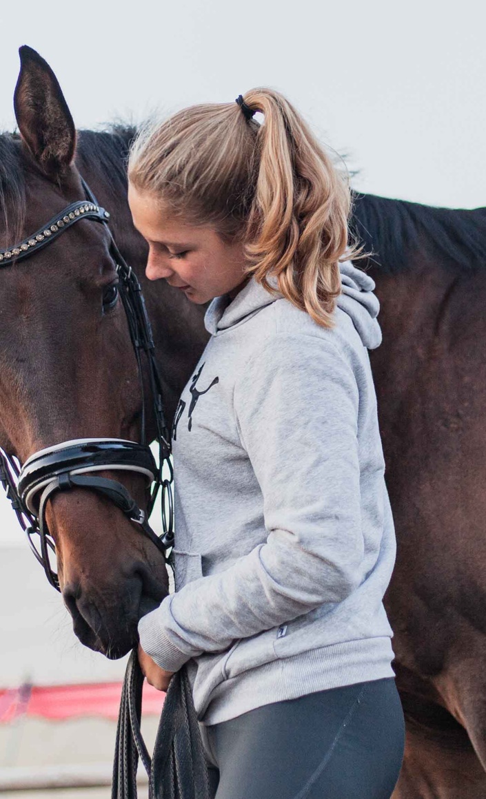 Voltigierpferd für die Lister Ponyschule e.V.