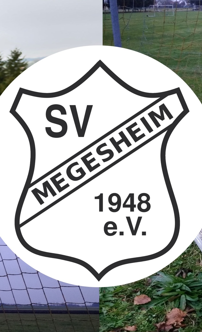 Sanierung Außenanlagen Sportgelände
