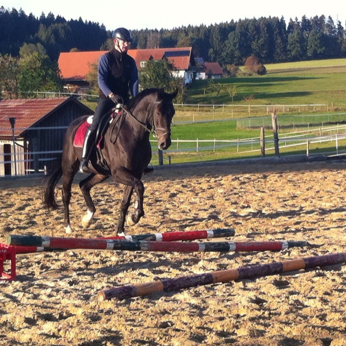 Reitplatzausrüstung für Dressur- und Springreiten