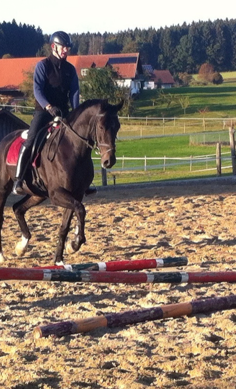Reitplatzausrüstung für Dressur- und Springreiten