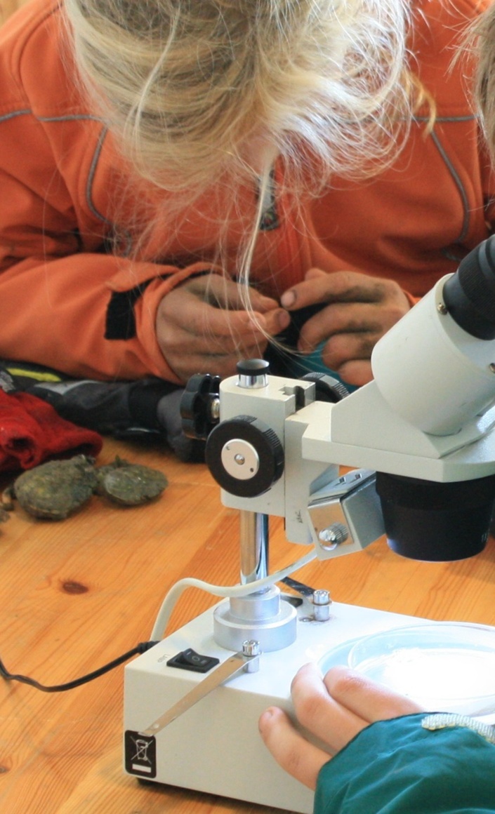 Umweltbildung für Schulklassen im Nationalpark-Haus Juist