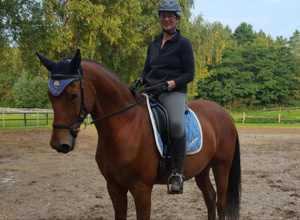 Neuer Sandplatz für Reitunterricht und Turnier