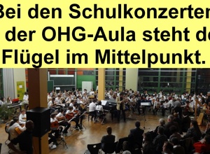 NEUE SAITEN FÜR DEN ALTEN BECHSTEIN