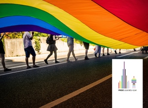 Video - Die größte Regenbogenfahne Deutschlands