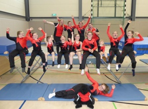 Ein neues Trampolin für die Gorillas