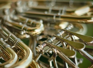 Jubiläumswerk "Wild und ewig"